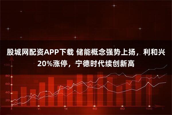 股城网配资APP下载 储能概念强势上扬，利和兴20%涨停，宁德时代续创新高