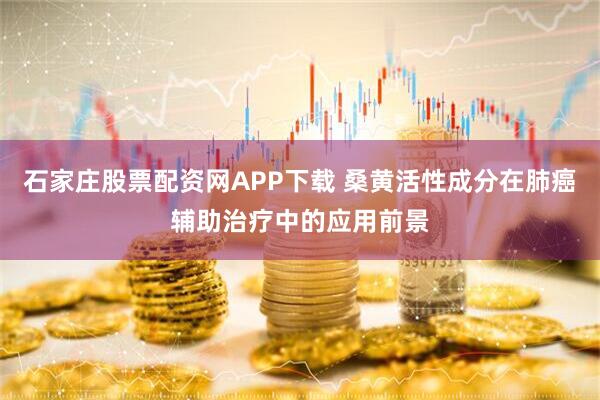 石家庄股票配资网APP下载 桑黄活性成分在肺癌辅助治疗中的应用前景